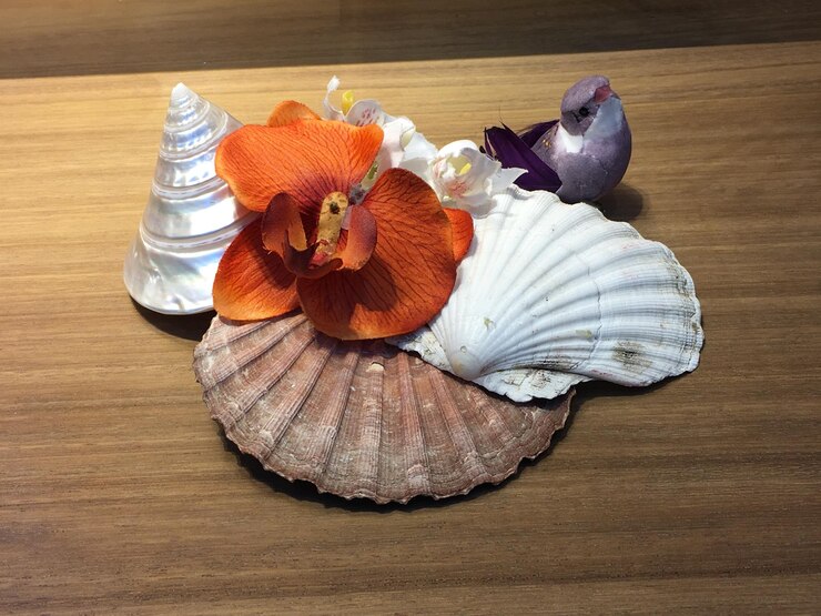 Southindiaseashells