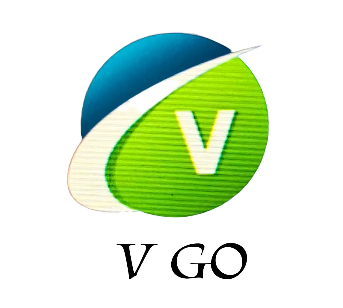 V GO Logo